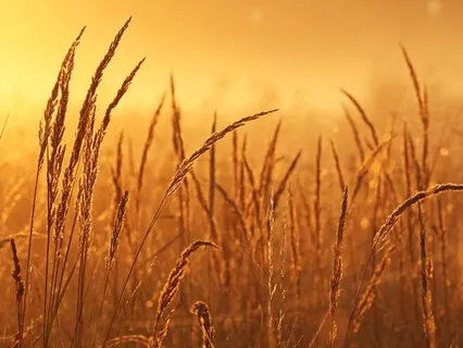 Morgonmeditation: Grundad Energi