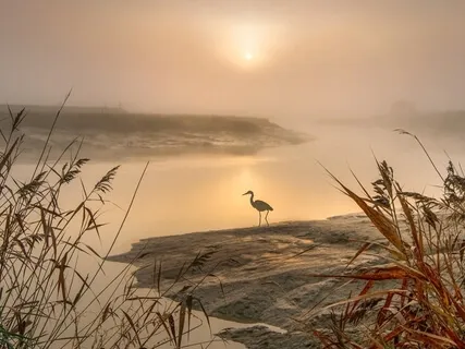 Morgonmeditation: tacksamhet