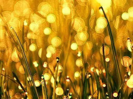 Morning Abundance Activation