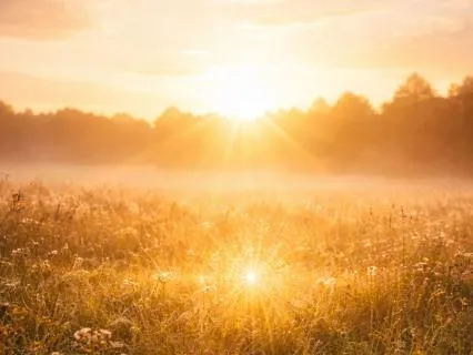 Morning Abundance: Shift Your Energy, Change Your Life