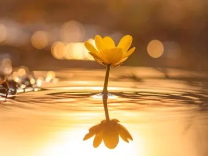 Morning Abundance Tapping: Open, Receive, Allow