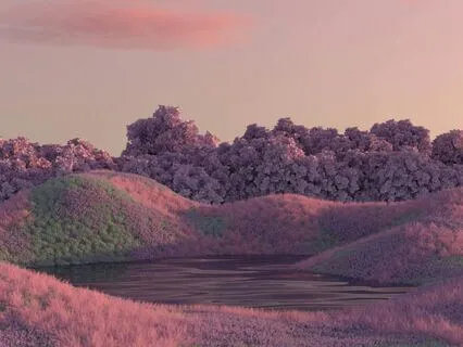 Morning Accountability