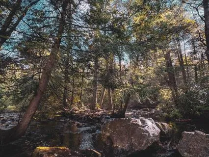 Morning Activation And Prayer - I Remember Who I Am