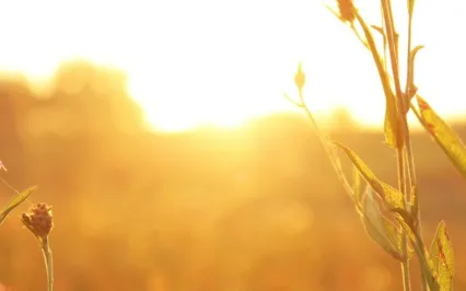 Morning Activation - Awareness, The Power Of Five