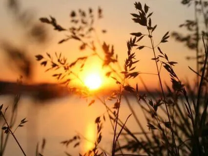 Morning Activation - Rise In Your Power