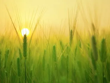 Morning Meditation With Affirmations