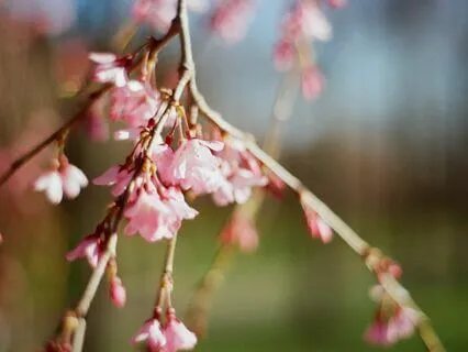 Morning Affirmations Meditation