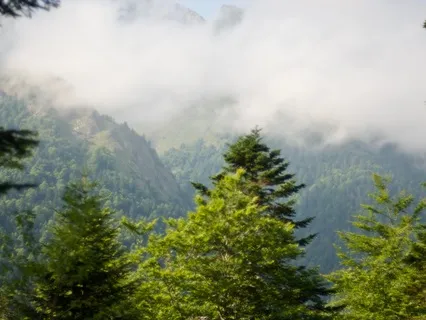 Morning Affirmation Practice