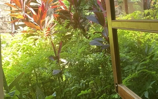 Morning Affirmations 