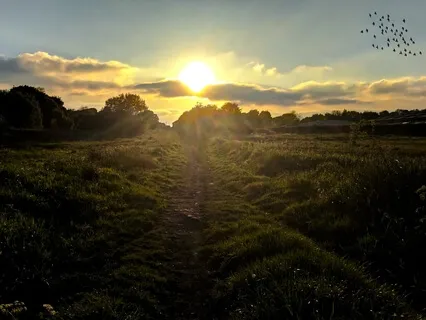 Morning Affirmations