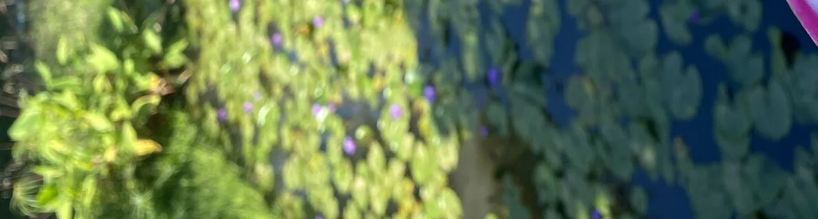 Morning Affirmations Based On The Dark Feminine, Kenna 