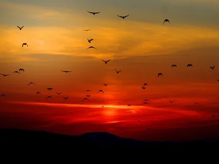 Morning Affirmations - Cappuccino