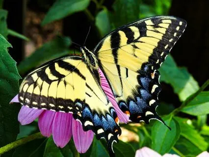 Morning Affirmations: Confidence, Inner Trust, Self-Love