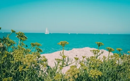 Morning Affirmations For A Fantastic Day