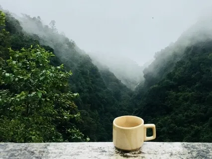 Morning Affirmations For A Great Day