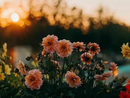 Morning Affirmations For A Great Day