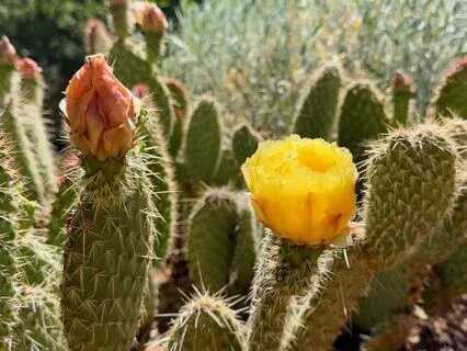 Morning Affirmations For Abundance And Prosperity