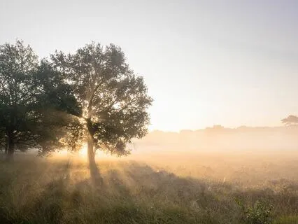 Morning Affirmations For An Amazing Day!