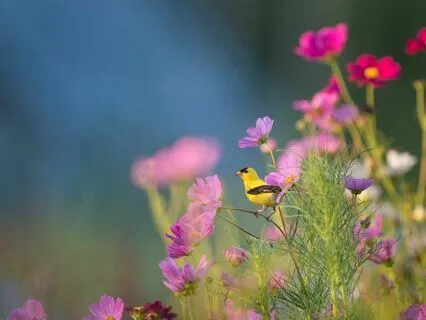 Morning Affirmations For An Amazing Day