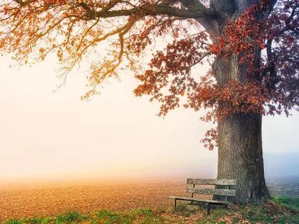 Morning Affirmations For Financial Stress And Anxiety