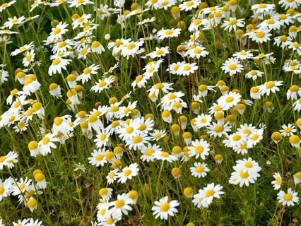 Morning Affirmations For Financial Success