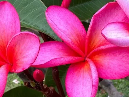 Morning Affirmations For More Luck