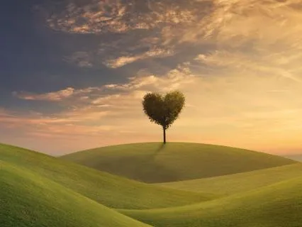 Morning Affirmations For Opening Yourself To Love