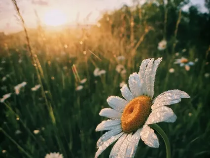 Morning Affirmations For Positive Energy & Manifestation