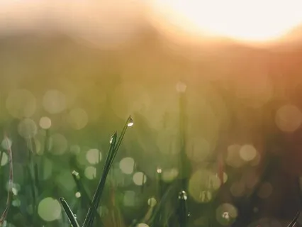 Morning Affirmations For Productivity