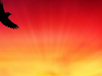 Morning Affirmations For Serenity: A Daily Practice