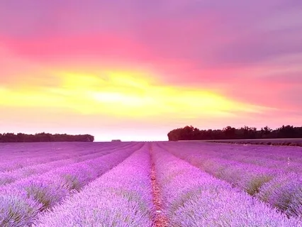 Morning Affirmations For Success And Abundance