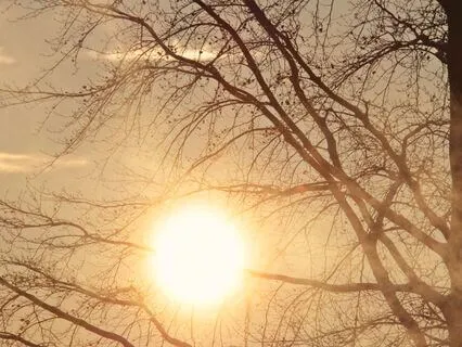 Morning Affirmations For Wholeness And Gratitude