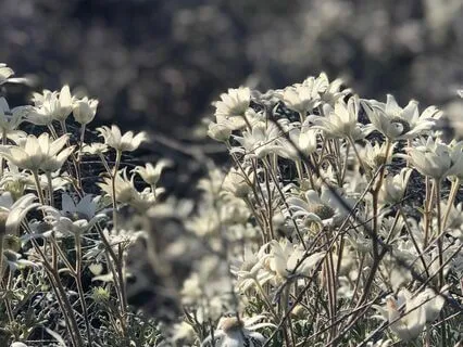 Morning Affirmations From A Soulmate