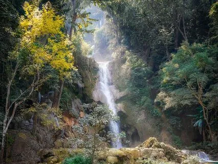 Morning Affirmations (Healing Rainforest Sounds)