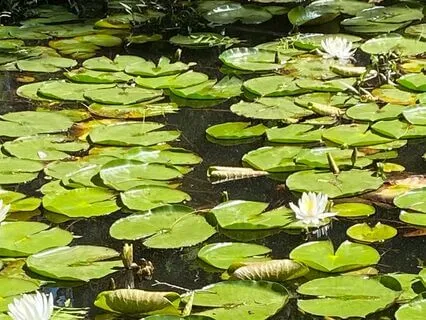 Morning Affirmations If You Have A Big Day