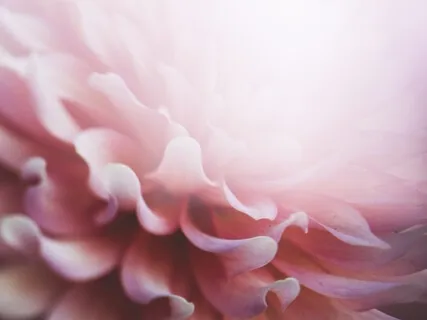 Affirmations For The Morning