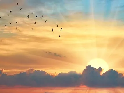 Morning Affirmations To Begin Your Day