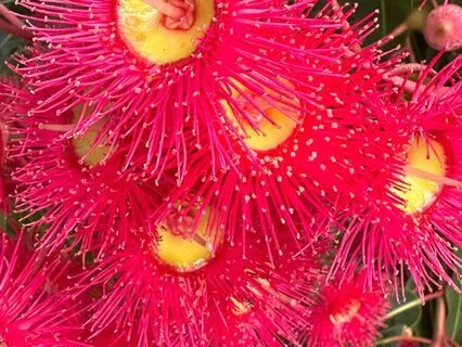 Morning Affirmations To Feeling Grounded And Secure