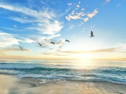 Morning Affirmations: Today Is A New Day - Extended Version