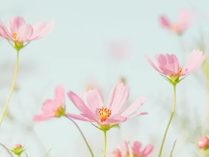 Morning Affirmations With Nature Sounds