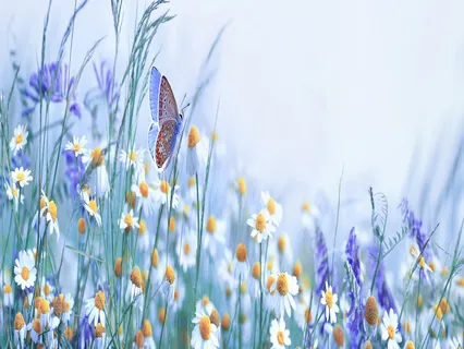 Morning Affirmations - Your Wonderful Day