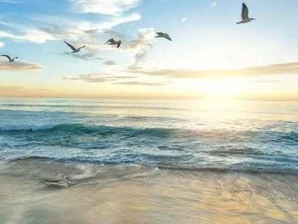 Morning Affirmations