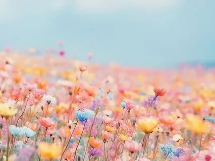 Morning Affirmations