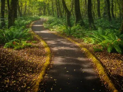 Morning Affirmations