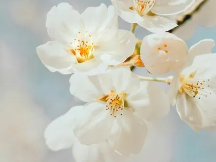 Morning Affirmations