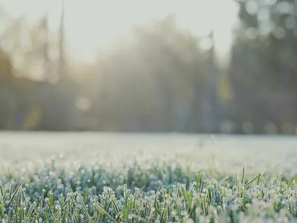 Morning Air - Handpan Music Meditation