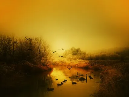 Morning Air | Uplifting Morning Music With Birdsong (432 Hz)