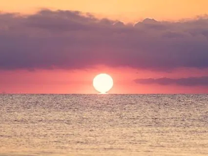 Morning Alignment: Clear, Ground, & Align