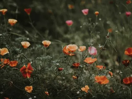 Morning Alignment For Creativity & Flow