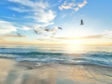 Morning Alignment Meditation